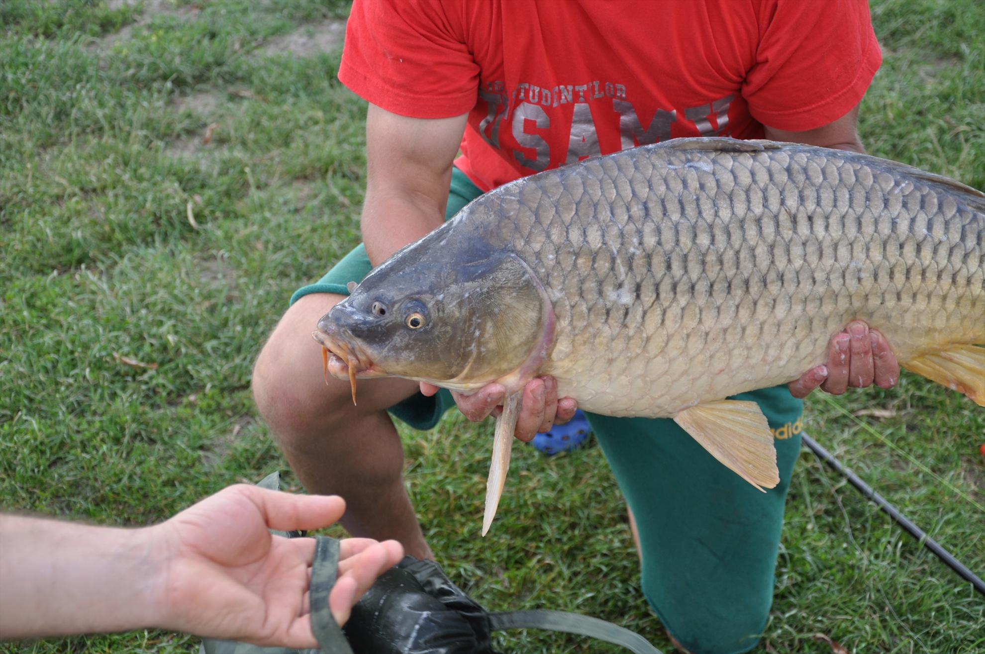 MV 2/3- 09/06/2013 - dsc0053.JPG